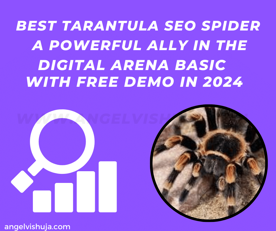 Tarantula SEO Spider