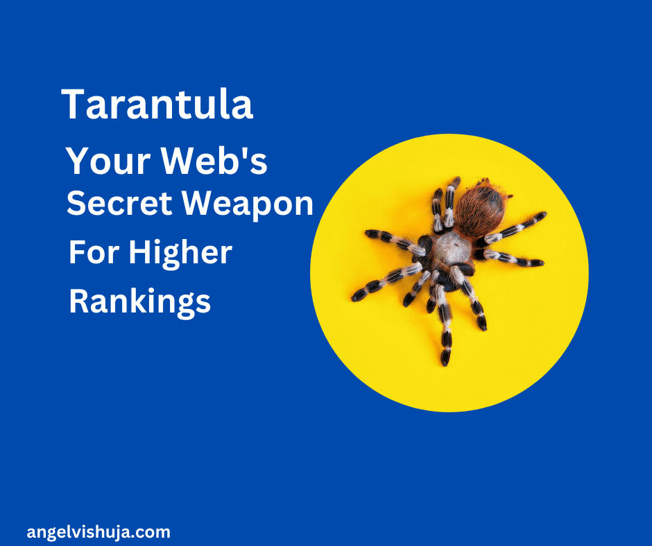 Tarantula Seo Spider Pro